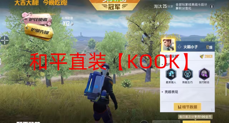 手游和平精英辅助购买平台-和平直装【KO