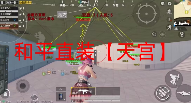 和平精英辅助购买平台有哪些-和平直装【天